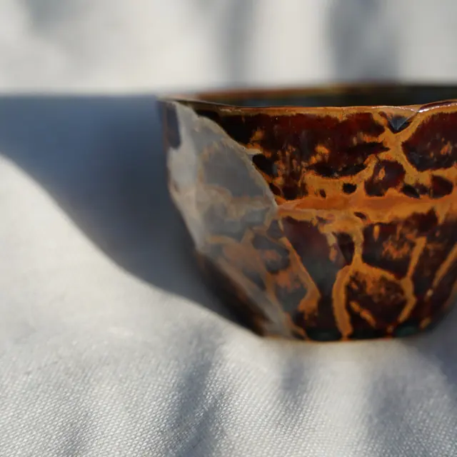Tortoiseshell bowl